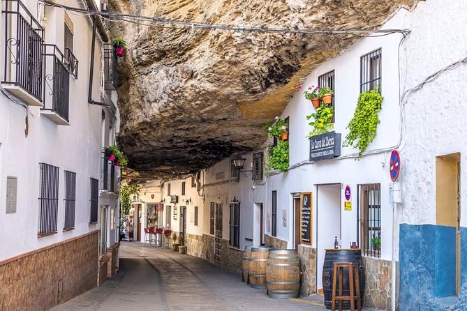 Private Tour of Ronda and Setenil de Las Bodegas - Who will enjoy this day most?