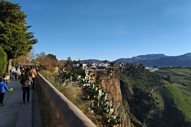 Private visit to Ronda 2 hours - Alameda del Tajo and the first views