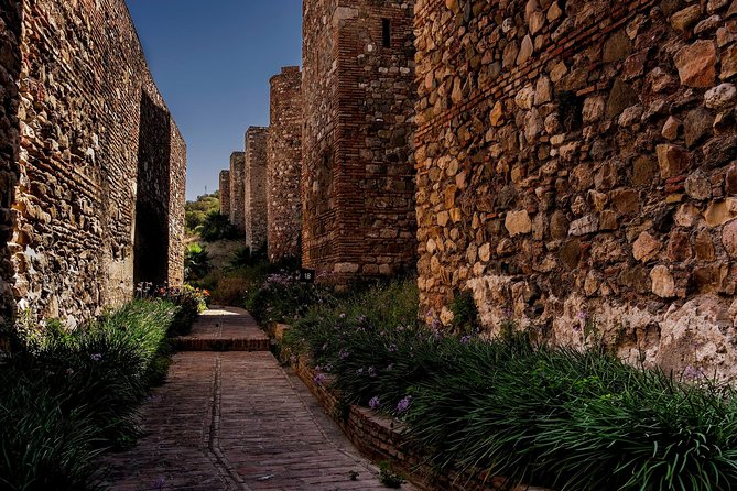 Private Walking Tour in Málaga - What the private format gives you