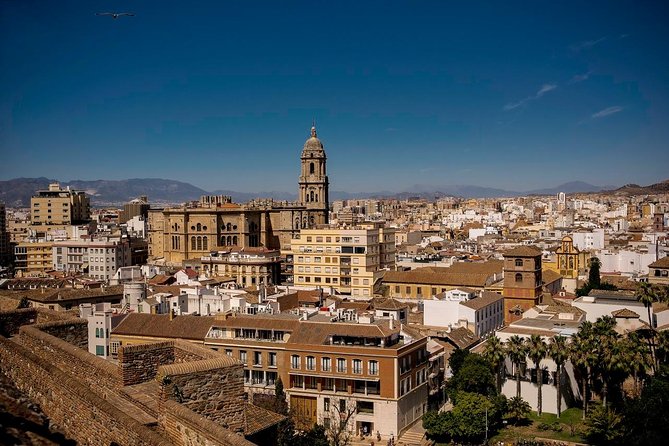 Private Walking Tour in Málaga - Timing, tickets, and practical planning
