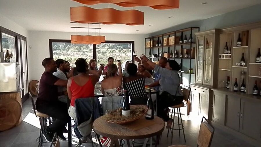 Private Winery Tour and Visit to Ronda - Walking through Finca La Melonera’s vineyards
