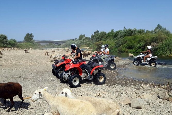Quad Bikes for Guided Tours. - Starting near Malaga Airport in Churriana