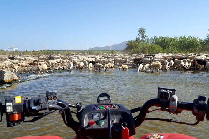 Quad Bikes for Guided Tours. - Learning the quad before leaving the pavement