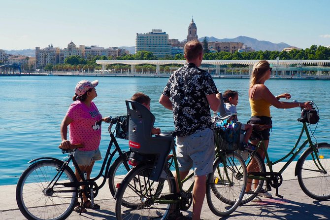 Rent a City Bike: Full Day 24 hours - Bike comfort, helmets, and family equipment