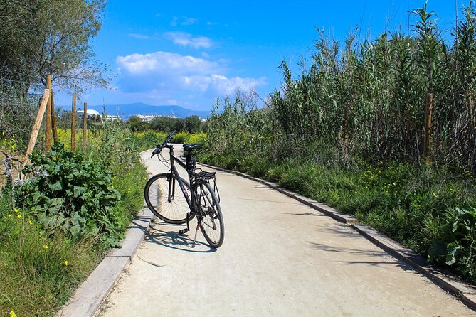 Rent a Trekking bike: Full Day 24 hours - Group size, language, and the guiding style