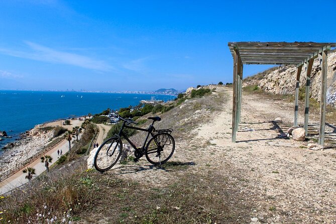 Rent a Trekking bike: Full Day 24 hours - Soho’s murals and Malaga’s changing city center