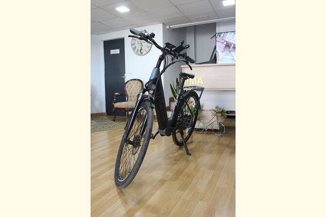 rent E-Bikes for a Day - A Malaga Day That Runs on Your Schedule