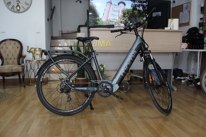 rent E-Bikes for a Day - Planning Your Own Route From Distrito Centro