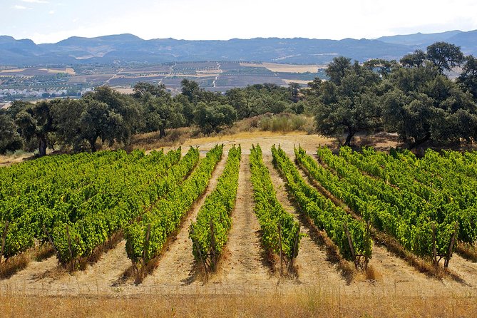 Ronda Private Full Day Wine Tour - Is $421.44 per person fair?
