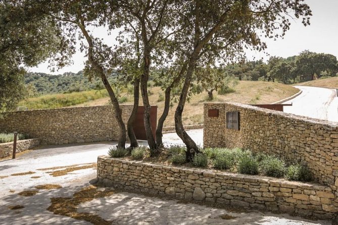 Ronda Private Wine Tour + Free Time in Ronda - Two hours to see Ronda your own way