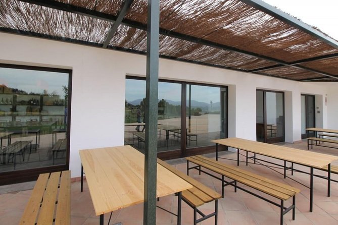 Ronda Private Wine Tour + Free Time in Ronda - Timing, pickup, and cancellation details