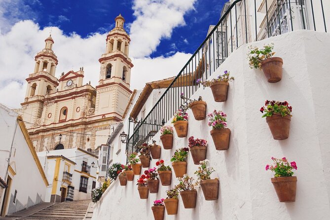 Ronda & Setenil Full Day - Key points to know before you book