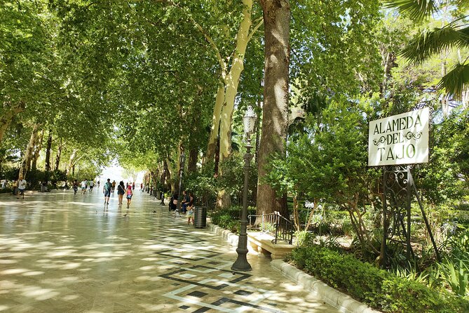 Ronda, the dreamt city: Private Walking Tour - Ronda’s old and new towns from the outside
