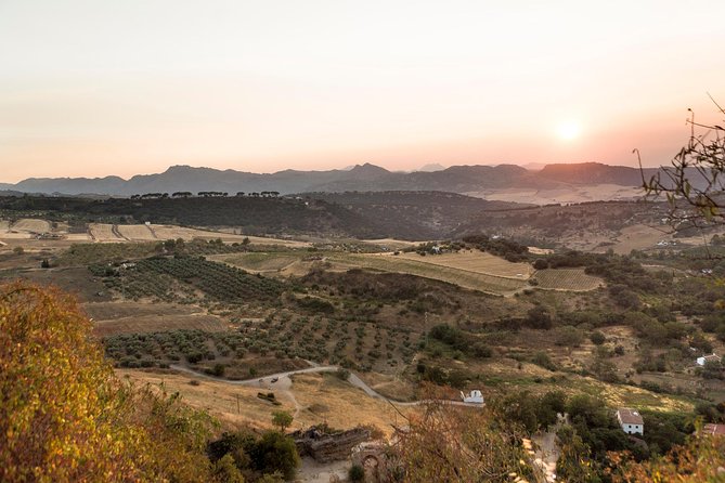 Ronda Village Guided Tour from Costa del Sol - Making good use of the three free hours