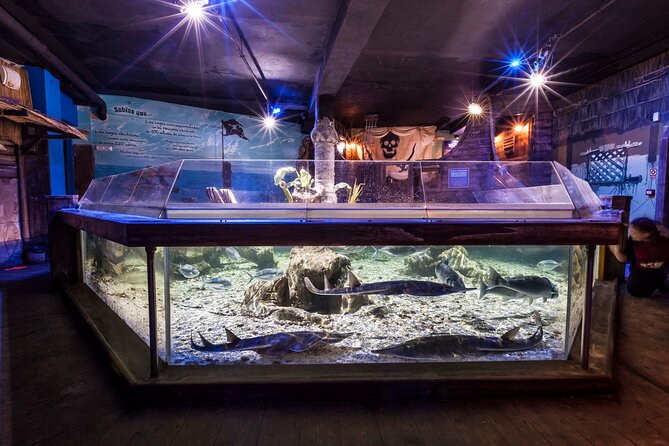 Sealife Benalmadena Entrance Ticket - The Interactive Rockpool Experience for curious children