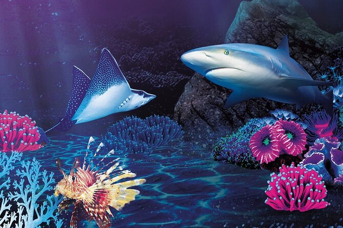 Sealife Benalmadena Entrance Ticket - Opening hours and practical planning
