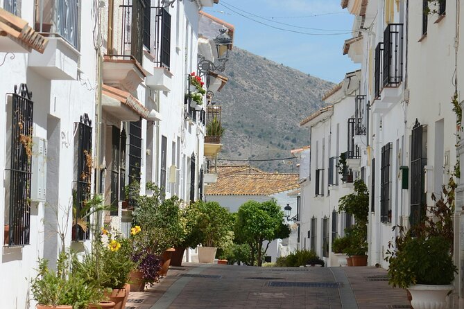 Self Guided Wine and Tapas Walking Tour - The digital guide is the tour leader