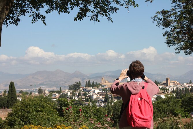 Semi Private Tour to the Alhambra from Nerja - What the guiding adds