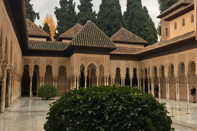 Semi Private Tour to the Alhambra from Nerja - Three hours inside the Alhambra