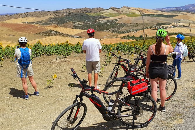 Sensational Setenil by e-bike (full day) - Tapas, archaeological stops, and a slower Spanish lunch