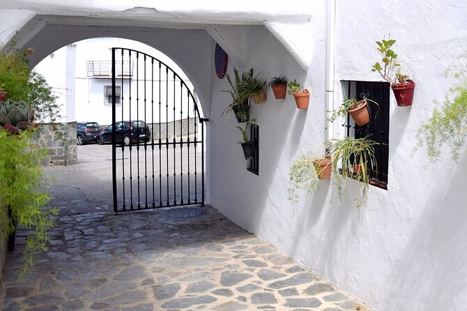 Sensational Setenil by e-bike (full day) - Small-group service and the return to Ronda