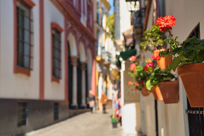 Seville Day Trip with Cathedral Entrance from Malaga - Free time for lunch and your own Seville plan