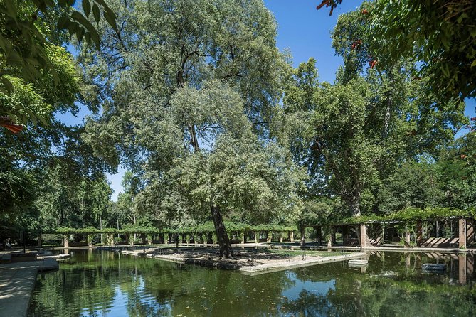 Seville Full Day Trip with Cathedral from Malaga - Coach comfort versus lost sightseeing time