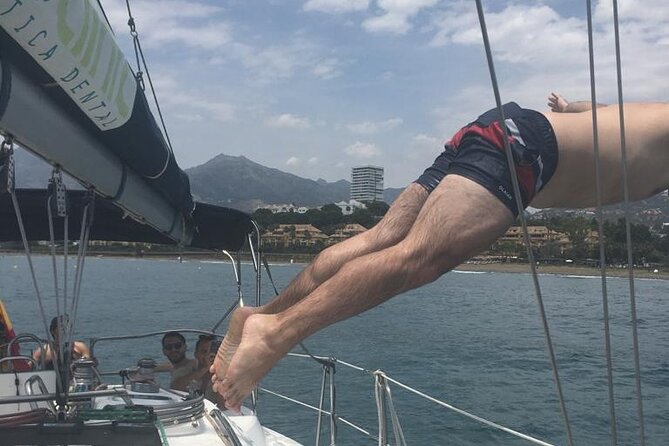 Shared Sailboat Experience Feel nature with dolphins - The dolphin search in open water