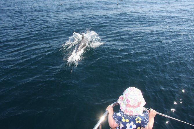 Sighting Dolphin Trip Estepona, Marbella - Heading Offshore in Search of Dolphins