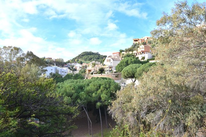 Spanish Civil War Private Walking Tour in Malaga - How the private format changes the experience