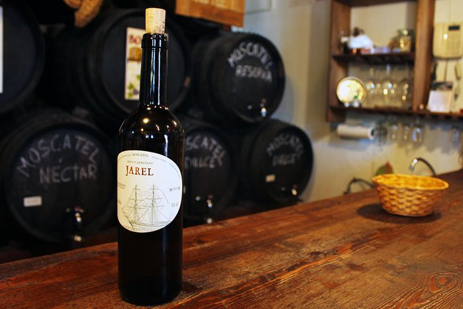 Sun and Wine Route - Small group, wine tasting and tapas included - From the Málaga coast to Cómpeta