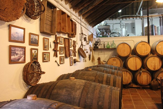 Sun and Wine Route - Small group, wine tasting and tapas included - Four wines and tapas instead of a rushed sample