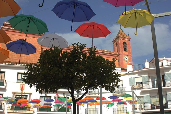 Sun and Wine Route - Small group, wine tasting and tapas included - Is $94.13 a fair price?