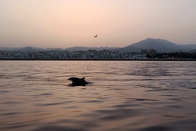 Sunset on Private Sailing boat Puerto Banus Marbella (10 pax) - Swimming when the sea permits