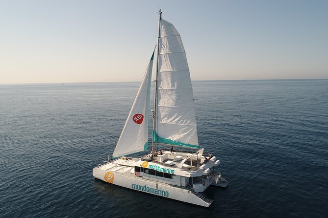 Sunset or night catamaran tour from Malaga - The boat, music, and onboard mood