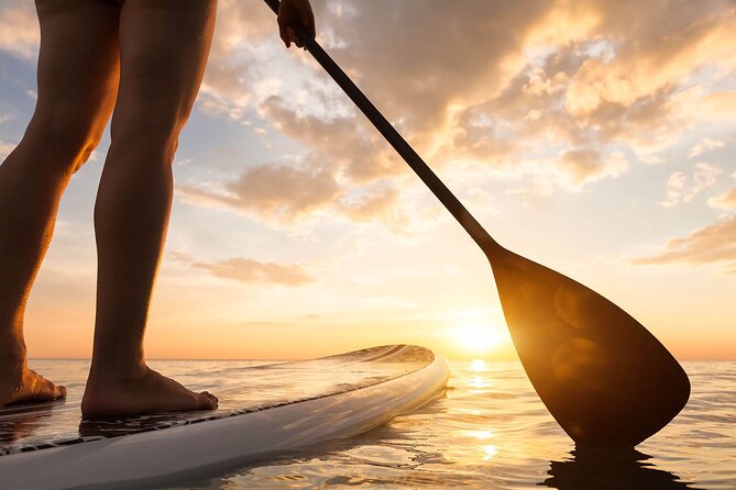 Sunset SUP Tour in Marbella - Starting at NaluSur in Marbella’s marina