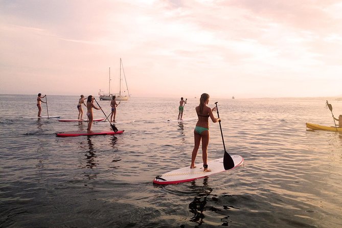 Sunset SUP Tour in Marbella - Learning the basics on calm marina water