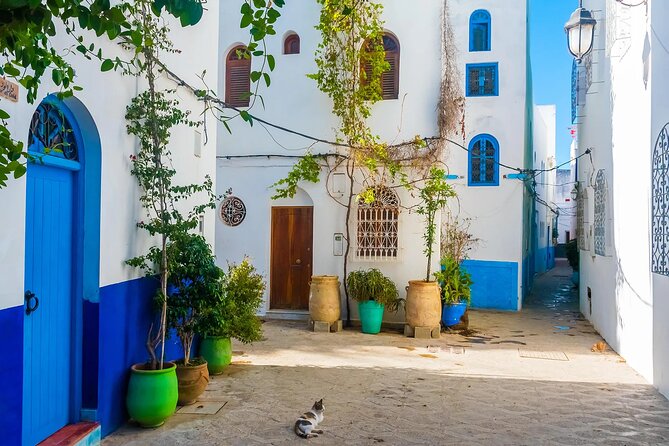 Tangier & Asilah Private Tour with from Malaga or Marbella - Tangier Medina, shops and everyday atmosphere