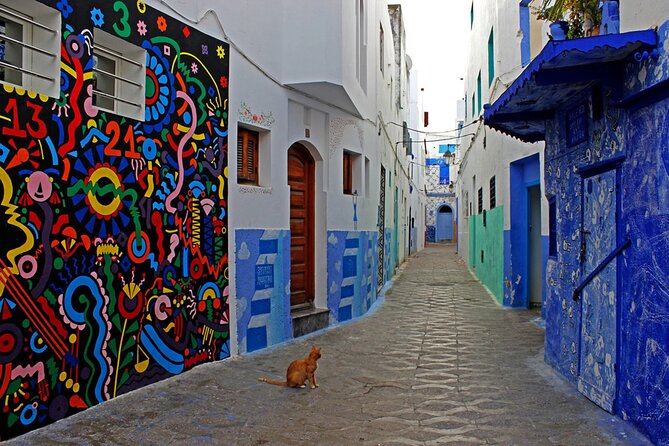 Tangier & Asilah Private Tour with from Malaga or Marbella - Cap Spartel, where two seas meet