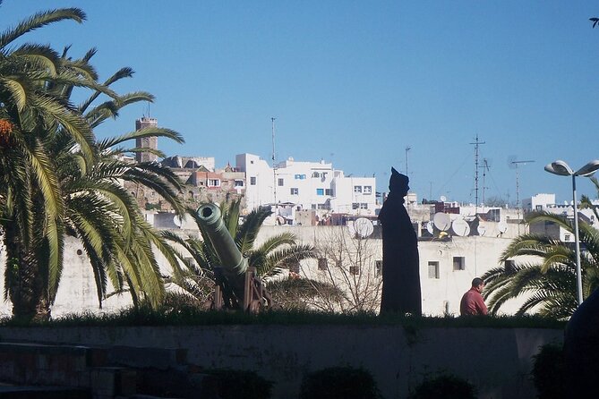 Tangier & Asilah Private Tour with from Malaga or Marbella - The included camel ride and meals