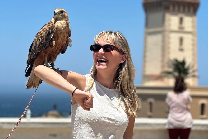 Tangier Luxury Private day trip from Malaga All inclusive - Who should book this Tangier day trip