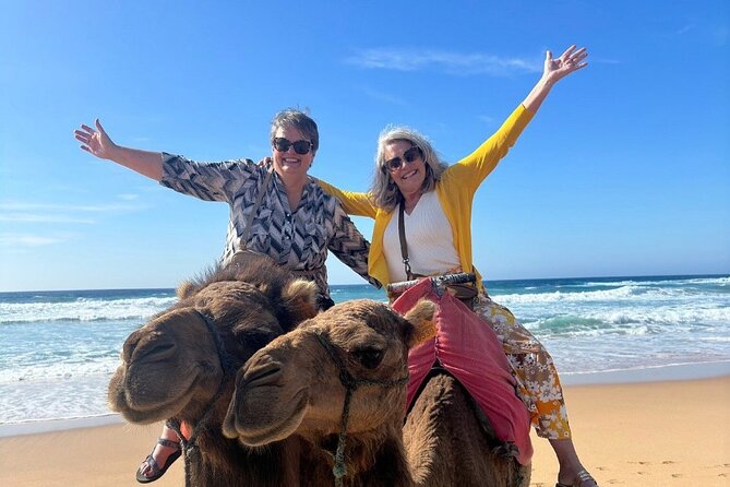Tangier Luxury Private Guided Day Tour from Malaga All Inclusive - The Kasbah, Dar el Makhzen, and the Mediterranean museum