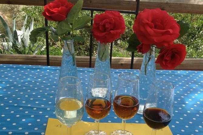 Tapas & Sherry an Andalucian Gourmet Experience. - A warm welcome before the cooking begins