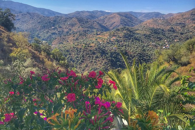 Tapas & Sherry an Andalucian Gourmet Experience. - The personal touch from Lynsey and Alan