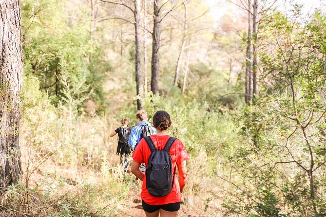 The Monks Trail: Mountain Hiking Adventure In Marbella - Leaving Marbella for the Monks Trail
