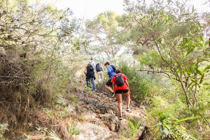 The Monks Trail: Mountain Hiking Adventure In Marbella - Who should book this hike?