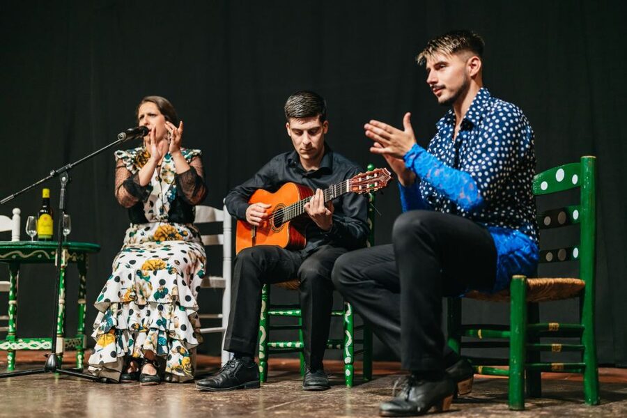 Torremolinos: Flamenco Show with Dinner and Drinks - Children and special diets