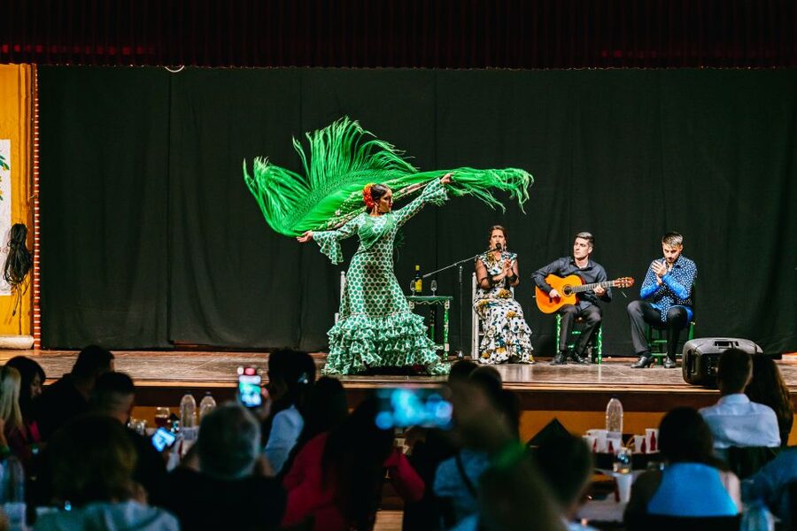 Torremolinos: Flamenco Show with Dinner and Drinks - The 50-minute flamenco performance
