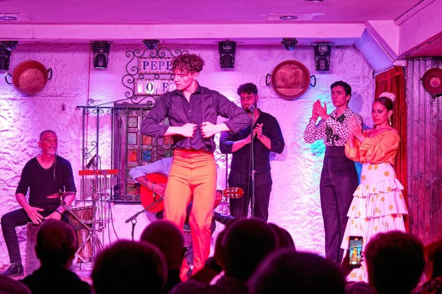 Torremolinos: Flamenco Show with Drinks - The best parts of the performance