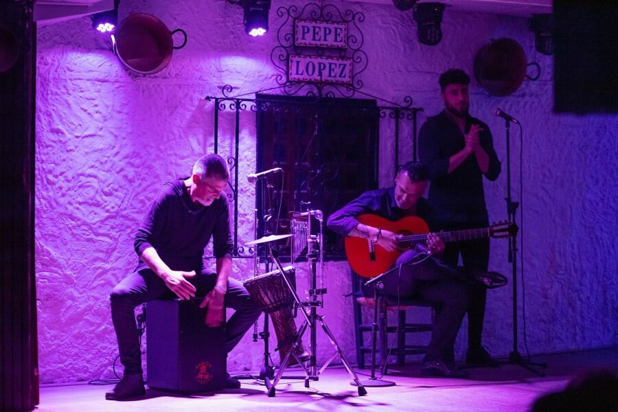 Torremolinos: Flamenco Show with Drinks - How this compares with a large theater show